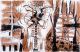 Insectos (2006)
