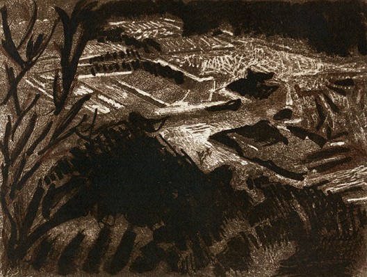 Vista